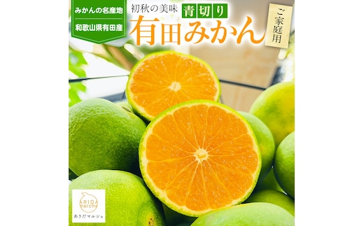 【先行予約】【初秋の美味】有田育ちのご家庭用 青切り有田みかん 3.2kg(3kg+200g(傷み補償分))