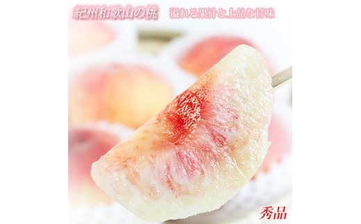 秀品 紀州和歌山産の桃 3玉 化粧箱入 ｜ もも モモ 桃 国産 フルーツ 果物 果実 産地直送 お取り寄せ ギフト デザート スイーツ 贈り物 ※2026年6月下旬～8月上旬頃に順次発送予定