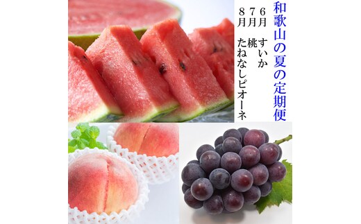 〈定期便〉【6・7・8月 全3回】和歌山の夏の人気フルーツ（小玉スイカ・桃・たねなしピオーネ）※北海道・沖縄・離島への配送不可