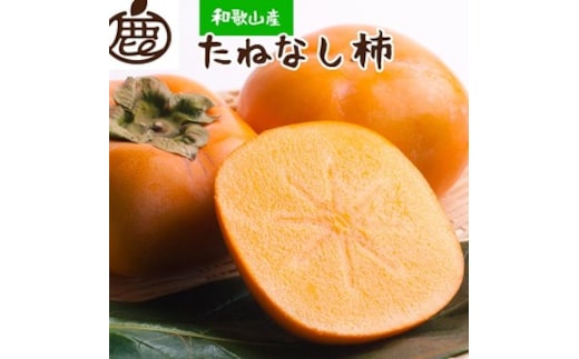 ＜10月より発送＞厳選たねなし柿2.5kg 【刀根早生・平核無柿（ひらたねなしかき）・富有柿】