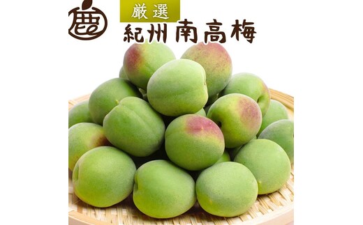 ＜6月発送＞厳選 紀州南高梅(青梅)3kg+250g（傷み補償分）【朝摘み・とれたて直送便】【梅干し・梅酒・梅ジュース】【和歌山産】