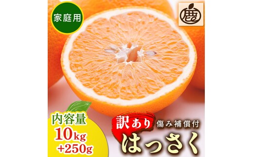 ＜1月より発送＞家庭用 はっさく10kg+250g（傷み補償分） ｜ 八朔みかん わけあり 訳あり ワケアリ ◇