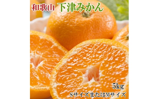 【産直・秀品】和歌山下津みかん約5kg（SサイズまたはMサイズのいずれかをお届け） ※2025年11月中旬～2026年1月中旬頃に順次発送予定