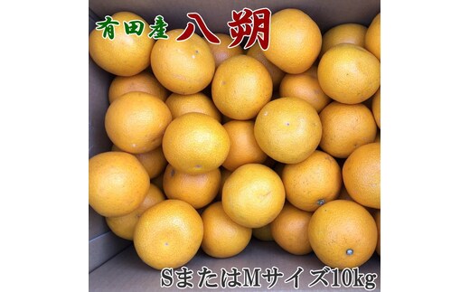【手選果】有田産の八朔10kg（SまたはMサイズいずれかお届け） ※2026年1月下旬～2月下旬頃に順次発送予定