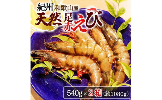 紀州和歌山産天然足赤えび540g×2箱（270g×4パック） 化粧箱入※着日指定不可
