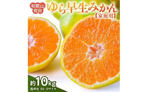 【先行予約】【ご家庭用 極早生】和歌山有田ゆら早生みかん約10kg(SS、Sサイズ)【美浜町】 | 柑橘 みかん