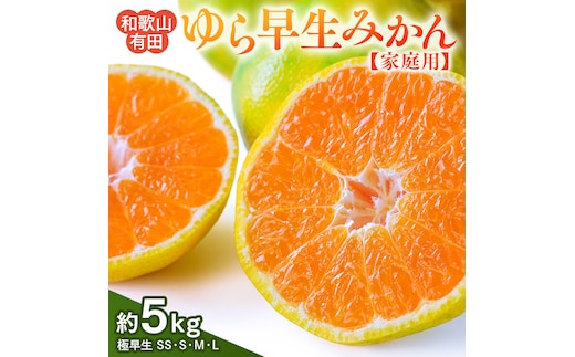 【先行予約】【ご家庭用 極早生】和歌山有田ゆら早生みかん 約5kg(SS、S、M、Lサイズ)【美浜町】 | 柑橘 みかん
