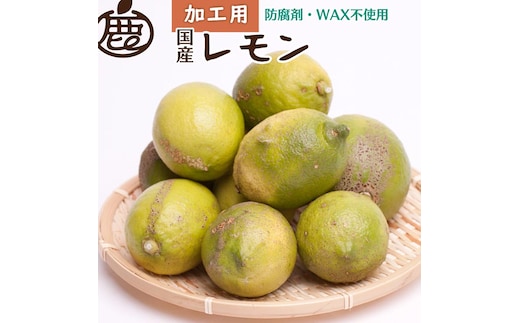 ＜9月より発送＞加工用 レモン5kg+250g（傷み補償分）【和歌山有田産】【防腐剤・WAX不使用、安心の国産レモン】【わけあり・訳ありレモン】 ※北海道・沖縄・離島への配送不可 ※2025年9月中旬～2026年4月下旬頃に順次発送予定