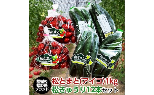 【煙樹の松野菜ブランド】松とまと（アイコ）松きゅうりセット 2025年11月中旬～2026年6月上旬頃に順次発送予定