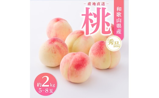 【産地直送】和歌山県産 桃 約2kg（5～8玉）秀品 もも