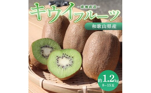 和歌山産 キウイフルーツ 約1.2kg 秀品 ※2026年1月下旬～3月中旬頃に順次発送予定 ※北海道・沖縄・離島への配送不可