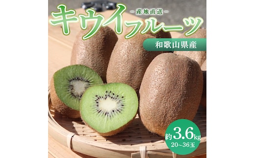 和歌山産 キウイフルーツ M～4Lサイズ 約3.6kg 秀品 ※2026年1月下旬～3月中旬頃に順次発送予定 ※北海道・沖縄・離島への配送不可