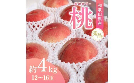 【産地直送】和歌山県産 桃 約4kg（12～16玉）秀品 もも