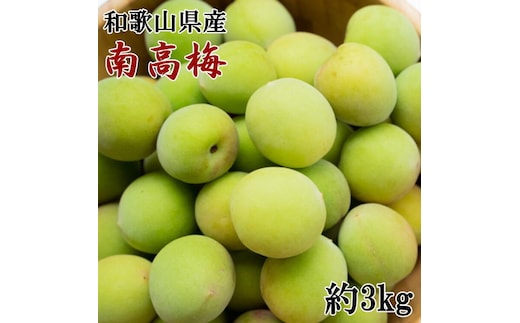 【和歌山名産】南高梅約3kg(サイズ混合) ※2026年6月上旬～6月下旬頃に順次発送予定