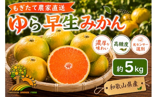 【先行予約】ゆら早生 みかん 濃厚な味わい 約5kg 希少品種《有機質肥料100％》極早生 ｜ 由良 ゆら 早生 わせ 柑橘 果物 くだもの フルーツ 和歌山 有田