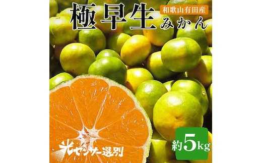 【先行予約】こだわりの極早生みかん 約5kg 農家直送 有機質肥料100% サイズ混合 ｜ みかん 極早生 早生 柑橘 果物 くだもの 果実 フルーツ 和歌山 有田
