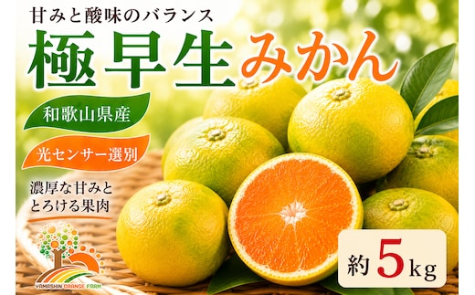 【先行予約】こだわりの極早生みかん 約5kg 農家直送 有機質肥料100% サイズ混合 ｜ みかん 極早生 早生 柑橘 果物 くだもの 果実 フルーツ 和歌山 有田