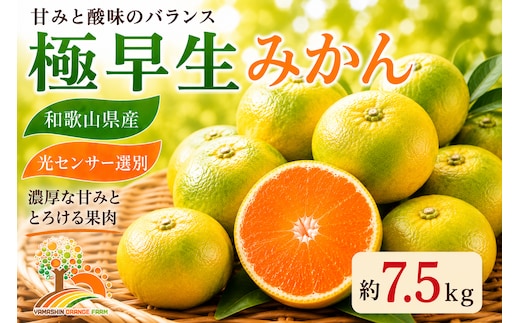 【先行予約】こだわりの極早生みかん 約7.5kg 農家直送 有機質肥料100% サイズ混合 ｜ みかん 極早生 早生 柑橘 果物 くだもの 果実 フルーツ 和歌山 有田
