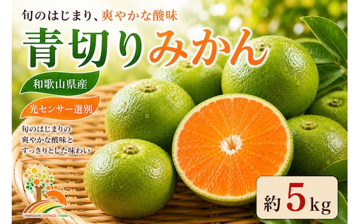 【先行予約】こだわりの青切りみかん 約5kg 農家直送 有機質肥料 100% サイズ混合 ｜ みかん 柑橘 果物 くだもの 果実 フルーツ 和歌山 有田