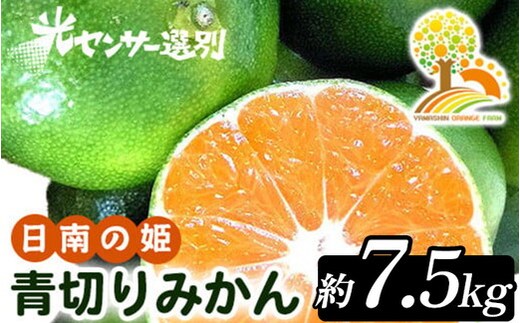 【先行予約】こだわりの青切りみかん 約7.5kg 農家直送 有機質肥料 100% サイズ混合 ｜ みかん 柑橘 果物 くだもの 果実 フルーツ 和歌山 有田