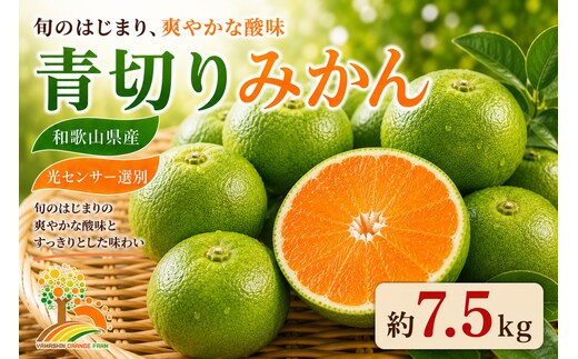 【先行予約】こだわりの青切りみかん 約7.5kg 農家直送 有機質肥料 100% サイズ混合 ｜ みかん 柑橘 果物 くだもの 果実 フルーツ 和歌山 有田