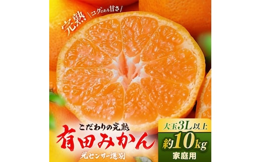 有田みかん 約10kg 大玉3L以上 有機質肥料100% ＼光センサー選別／ 農家直送 ※北海道・沖縄・離島への配送不可◇※2025年11月中旬～2026年1月上旬頃に順次発送予定
