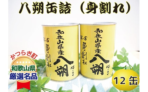 和歌山県産八朔缶詰（身割れ）425g×12缶セット◇