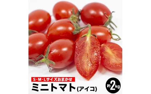 ミニトマトアイコ(松トマト）約2kg（S・M・Lサイズおまかせ）◇ 