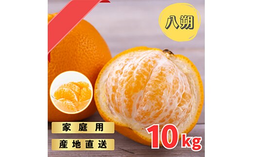 【先行予約】 ご家庭用 完熟 木なり ハッサク 10kg (M～2Lサイズ) | 八朔 旬 柑橘 フルーツ 果物 柑 産地直送 箱入 和歌山県 