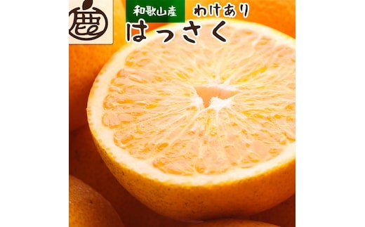 ＜1月より発送＞家庭用 はっさく2.5kg+250g（傷み補償分） ｜ 八朔みかん わけあり 訳あり ワケアリ ※2026年1月上旬～3月下旬頃に順次発送予定 ※北海道・沖縄・離島への配送不可 ◇