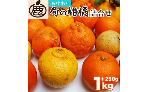 ＜1月より発送＞家庭用 柑橘詰合せ1kg+250g（傷み補償分）◇【訳あり・わけあり】【有田の春みかん詰め合わせ・フルーツ詰め合せ・オレンジつめあわせ】【光センサー選別】 ※北海道・沖縄・離島への配送不可 ※2026年1月上旬～4月下旬頃に順次発送予定