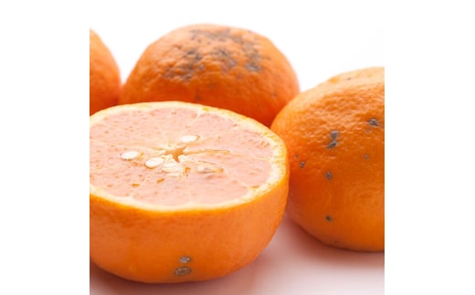 ＜4月より発送＞家庭用 カラマンダリン1kg+250g（傷み補償分）◇【南津海・なつみ】【希少な春柑橘】【わけあり・訳あり】【みかんと同じように食べられます】 ※北海道・沖縄・離島への配送不可 ※2026年4月上旬～5月下旬頃に順次発送予定