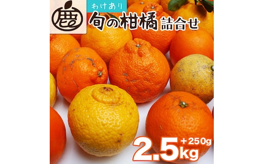 ＜1月より発送＞家庭用 柑橘詰合せ2.5kg+250g（傷み補償分）◇【訳あり・わけあり】【有田の春みかん詰め合わせ・フルーツ詰め合せ・オレンジつめあわせ】【光センサー選別】 ※北海道・沖縄・離島への配送不可 ※2026年1月上旬～4月下旬頃に順次発送予定