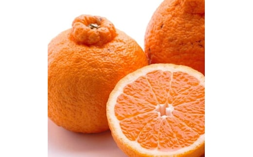 ＜2月より発送＞家庭用 不知火1kg+250g（傷み補償分）◇【デコポンと同品種・人気の春みかん】 わけあり 訳あり ワケアリ ※北海道・沖縄・離島への配送不可 ※2026年2月上旬～3月下旬頃に順次発送予定