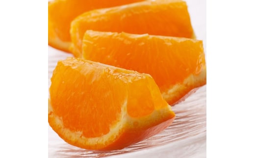 ＜4月より発送＞厳選セミノールオレンジ2.5kg+250g（傷み補償分）◇【春みかん】【有田産】【光センサー食べ頃出荷】 ※北海道・沖縄・離島への配送不可 ※2026年4月上旬～5月下旬頃に順次発送予定