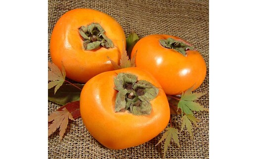 和歌山の種なし柿 【秀品 サイズ・品種おまかせ】約7.5kg 和歌山県産 フルーツ かき 紀伊国屋文左衛門本舗