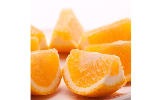 ＜4月より発送＞厳選 甘夏柑2.5kg+250g（傷み補償分）◇【初夏のみかん・旬の果物】【有田産】【光センサー食べ頃出荷】 ※北海道・沖縄・離島への配送不可 ※2026年4月上旬～5月下旬頃に順次発送予定