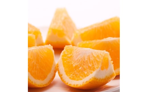 ＜4月より発送＞厳選 甘夏柑5kg+250g（傷み補償分）◇【初夏のみかん・旬の果物】【有田産】【光センサー食べ頃出荷】 ※北海道・沖縄・離島への配送不可 ※2026年4月上旬～5月下旬頃に順次発送予定