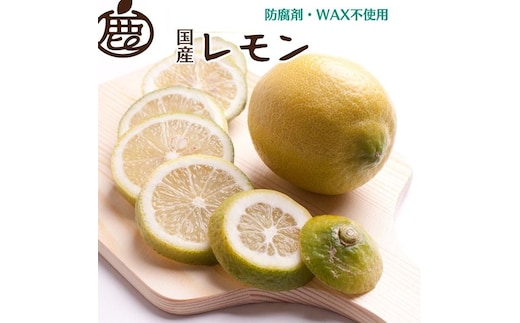 ＜9月より発送＞レモン2.5kg+250g（傷み補償分）【和歌山有田産】【防腐剤・WAX不使用、安心の国産レモン】 ※北海道・沖縄・離島への配送不可 ※2025年9月中旬～2026年4月下旬頃に順次発送予定