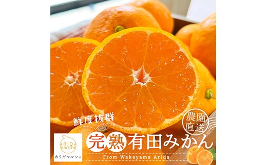 【先行受付 2026年11月～発送】農園直送!完熟有田みかん 3.2kg(3kg+200g(傷み補償分))