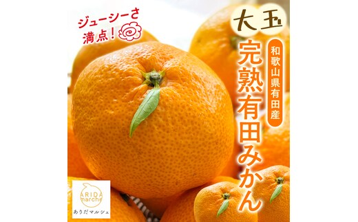 【2026年11月上旬〜発送】【果汁たっぷり】迫力満点! 大粒 有田みかん 7.7kg（7.5kg+200g（傷み補償分））