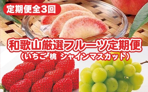 〈定期便〉【2・7・8月 全3回】和歌山厳選フルーツ（いちご・桃・シャインマスカット ）◇ ※離島への配送不可