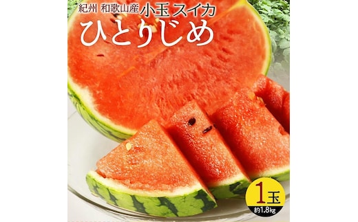 〈定期便〉【6・8・10月 全3回】和歌山産 旬のフルーツのお楽しみ 定期便 【魚鶴】◇