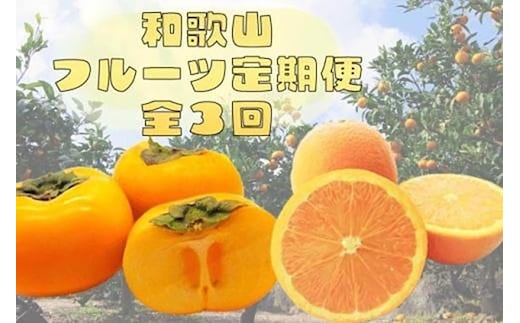 〈定期便〉【10・11・12月 全3回】和歌山人気のフルーツ定期便（柿・みかん）【魚鶴厳選】