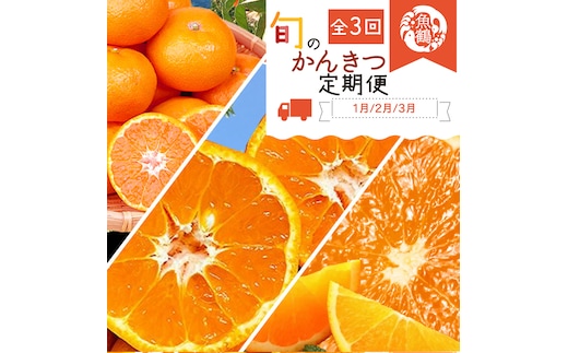 〈定期便〉【1・2・3月 全3回】紀州和歌山産旬の柑橘セット(みかん・ポンカン・清見) ※北海道・沖縄・離島への配送不可