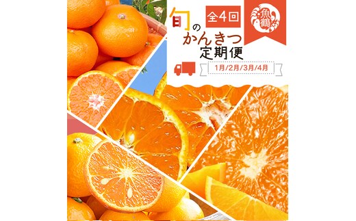 〈定期便〉【1・2・3・4月 全4回】紀州和歌山産旬の柑橘セット(みかん・ポンカン・清見・なつみ) ※北海道・沖縄・離島への配送不可