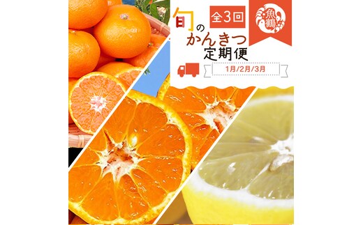 〈定期便〉【1・2・3月 全3回】紀州和歌山産旬のフルーツセット(みかん・ポンカン・レモン)