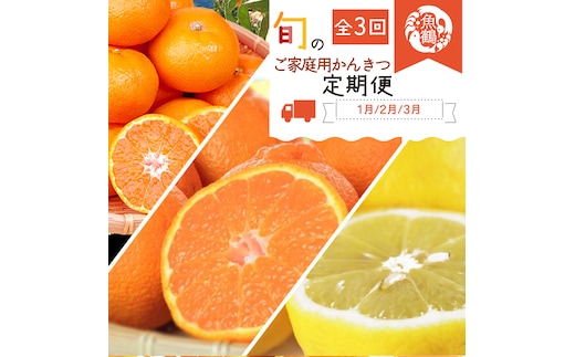 〈定期便〉【1・2・3月 全3回】紀州和歌山産旬のご家庭用柑橘セット(みかん・不知火・レモン) ※離島への配送不可