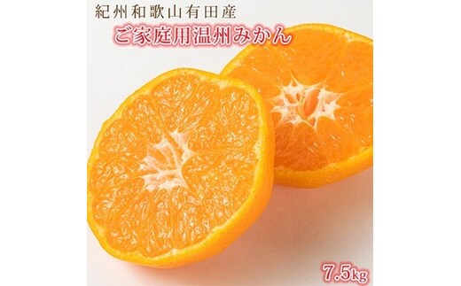 〈定期便〉【1・2・3月 全3回】紀州和歌山産旬のご家庭用柑橘セット(みかん・不知火・レモン) ※離島への配送不可