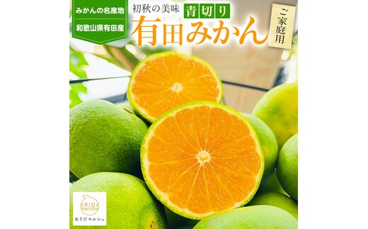 【先行予約】【初秋の美味】有田育ちのご家庭用 青切り有田みかん 5.2kg(5kg+200g(傷み補償分))